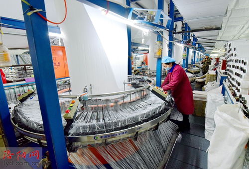 洛阳九发实业 瞄准市场需求促生产，研发环保产品稳就业